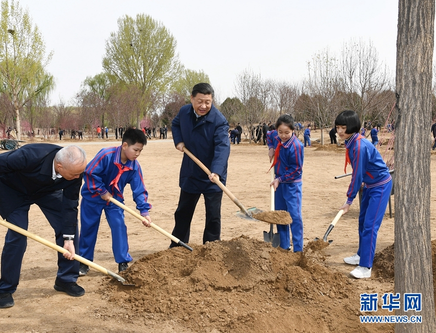 席大大：推动国土绿化不断取得实实在在的成效