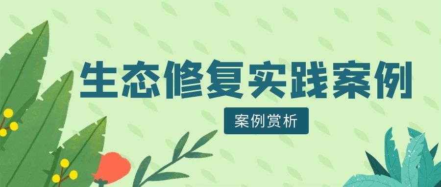 案例赏析 | 生态修复实践案例