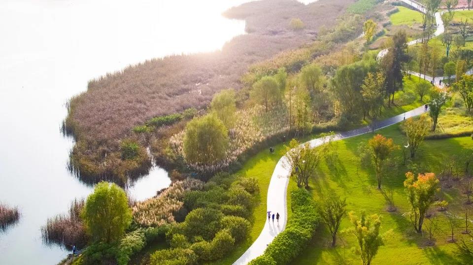 城市湿地公园丨四川南部水城禹迹岛公园